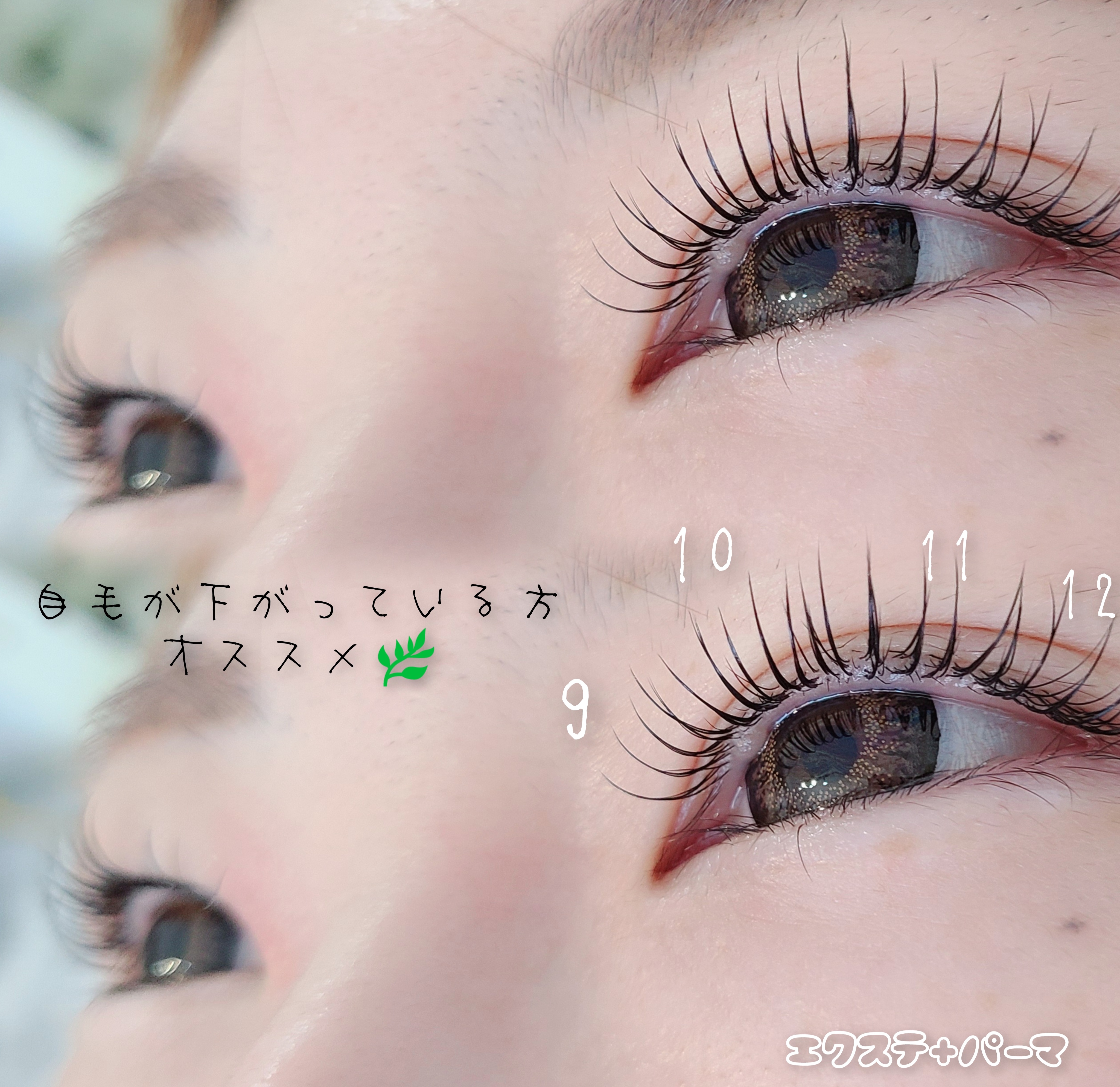 5. ボリュームラッシュで華やかさをプラス